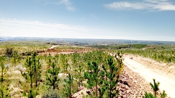 1572403772665745.png image.png