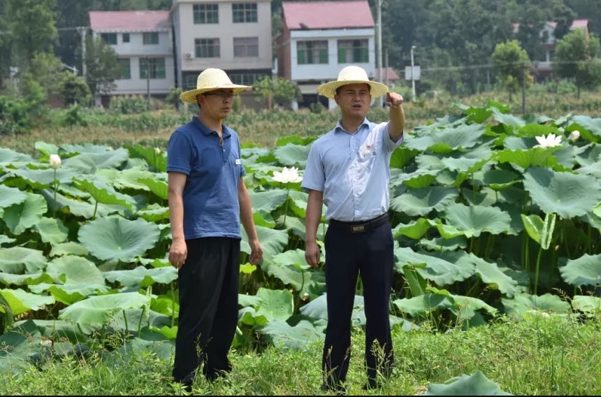 1589935066301383.png image.png