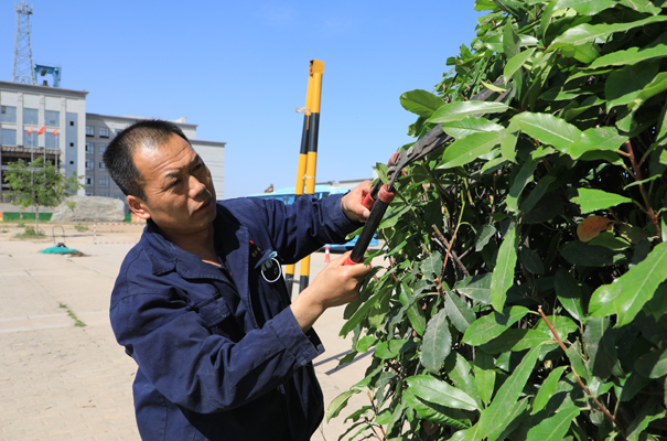 1589957716320613.png image.png