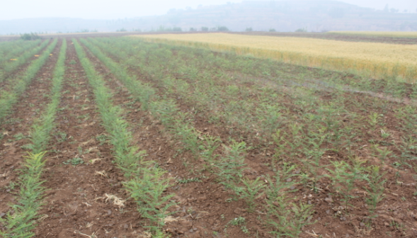 1616405576272314.png image.png