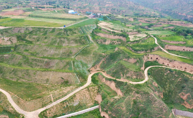 1621318822112709.png image.png