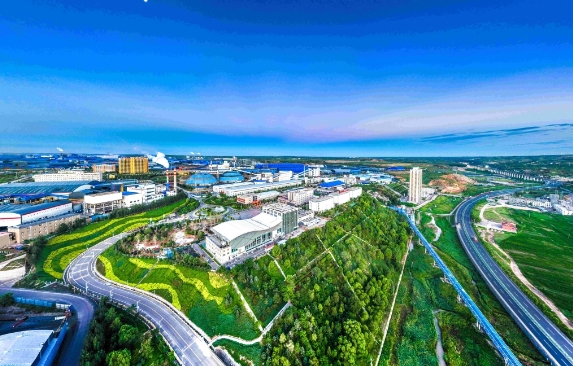 1696821743722208.jpeg 檸條塔.png