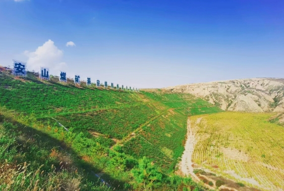 1699410285665155.jpeg 用心3.png