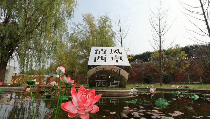 1699412256120166.jpeg 西卓.png