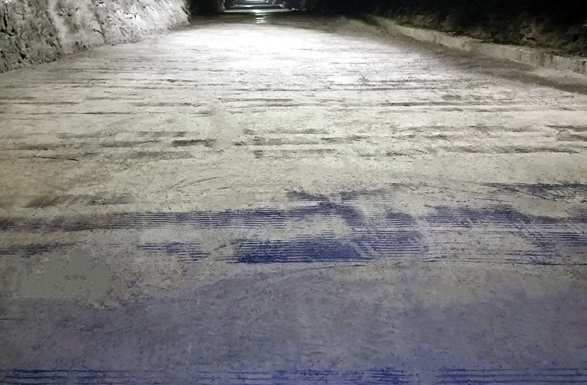 1700189499605343.jpeg 小莊.png