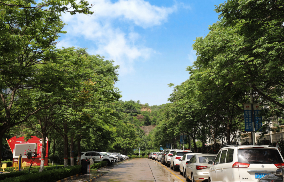 1706663804574095.png image.png