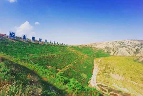 1708389895435136.jpeg 20240204175301_43534.jpg