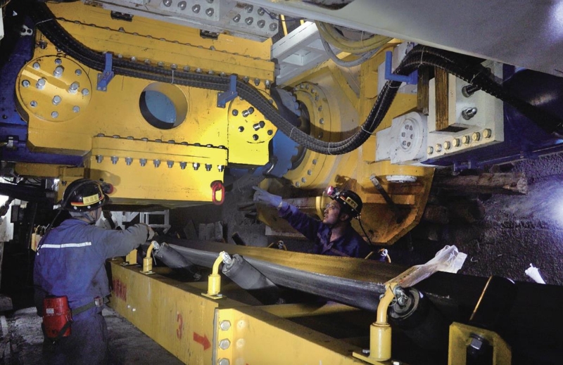 1708392798995883.jpeg 1119625_800x9999.jpeg