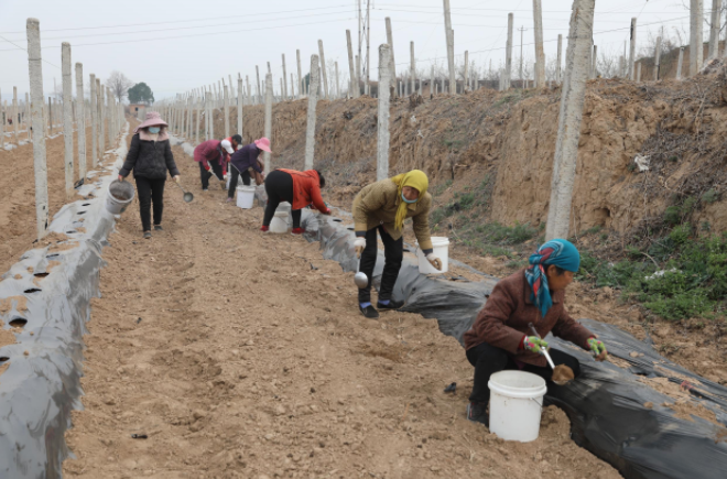 1711501531641852.png image.png