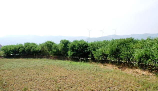 1713149624430048.png 1713149624430048.png