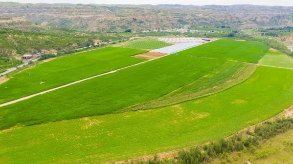 1715052765214224.png image.png