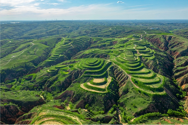 1715053099824473.png image.png