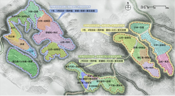 1715053135234122.png image.png