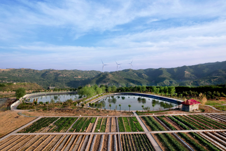 1718152674129116.png 1718152674129116.png