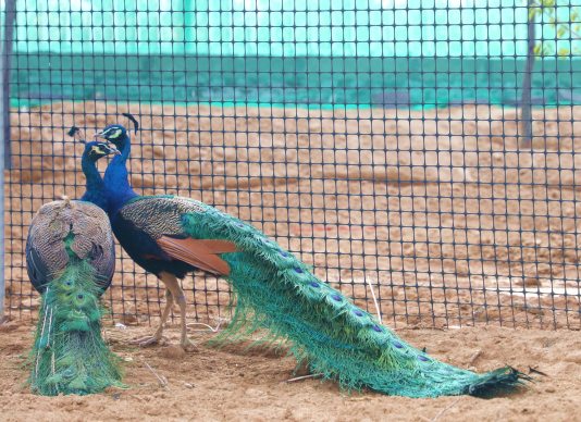 1728723571150231.png 1728723571150231.png