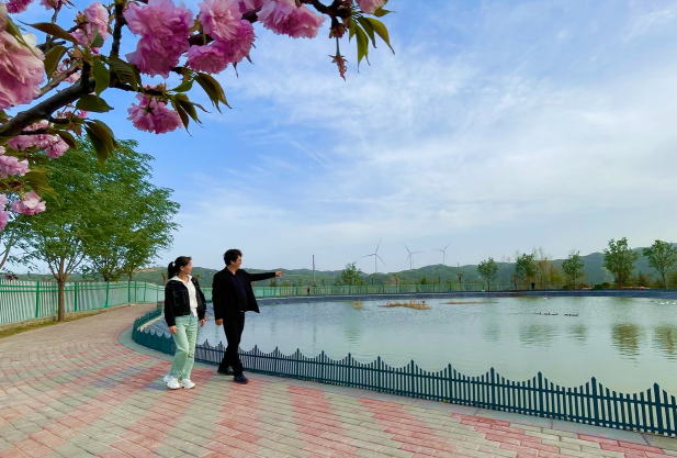 1728723778462676.png 1728723778462676.png