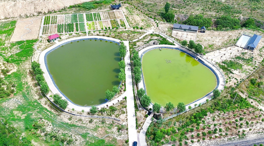 1728723806266294.png 1728723806266294.png