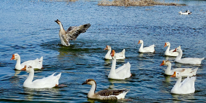 1728723852784147.png 1728723852784147.png