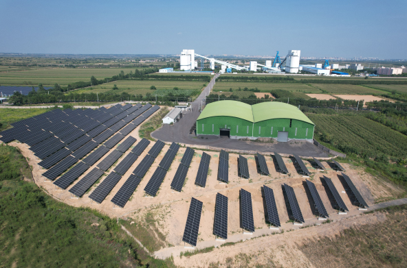 1731651611756031.png 1731651611756031.png