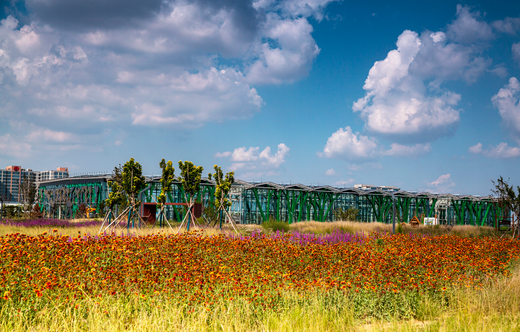 1734071403601085.png image.png