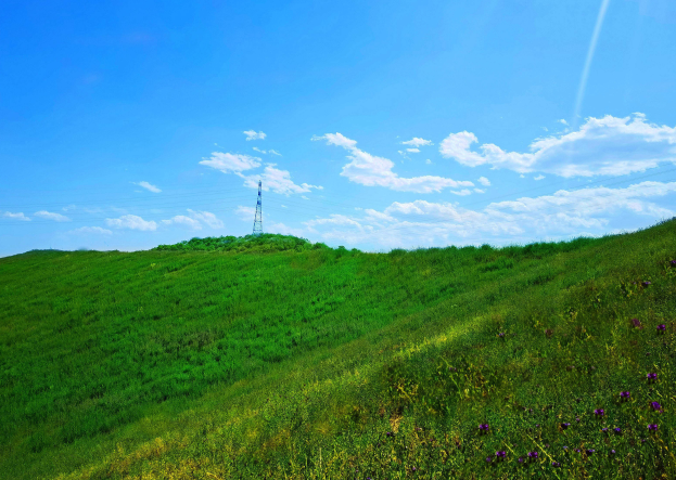 1751508414901901.png image.png