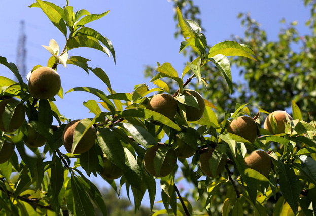 1751508436336844.png image.png