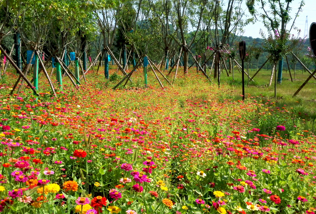 1751508457538787.png image.png