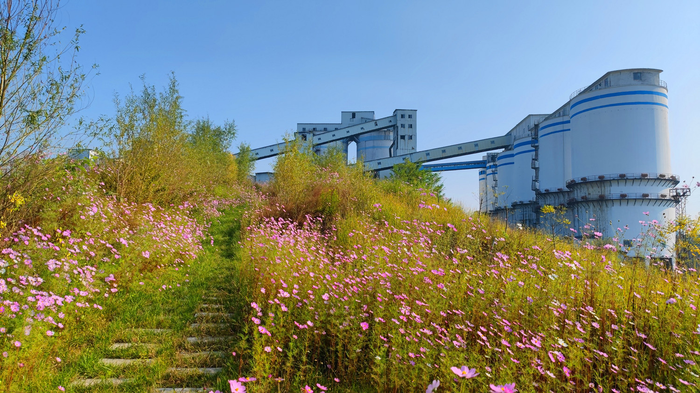 1755509783576793.png image.png