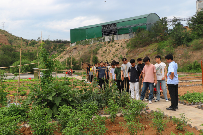 1755509808781315.png image.png