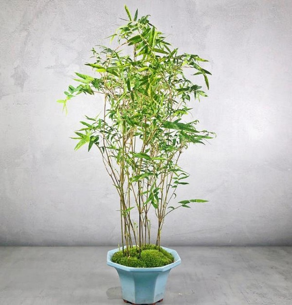 1756344601813729.png image.png